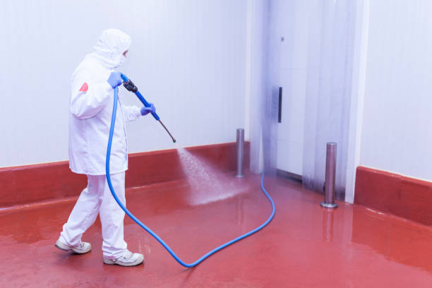 Best Sidewalk and Walkway Cleaning  in Vista Center, NJ