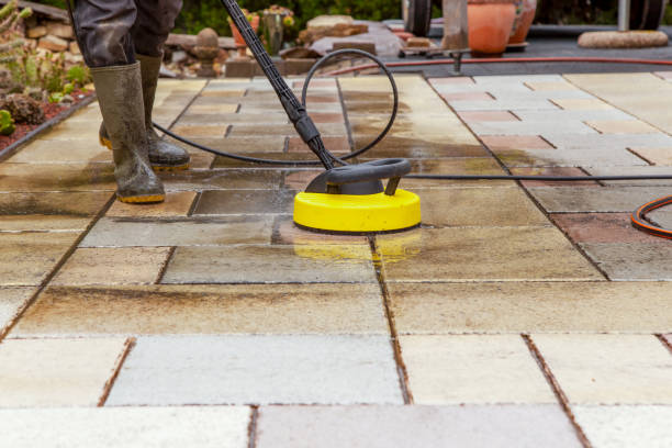 Best Animal Enclosure Cleaning  in Vista Center, NJ